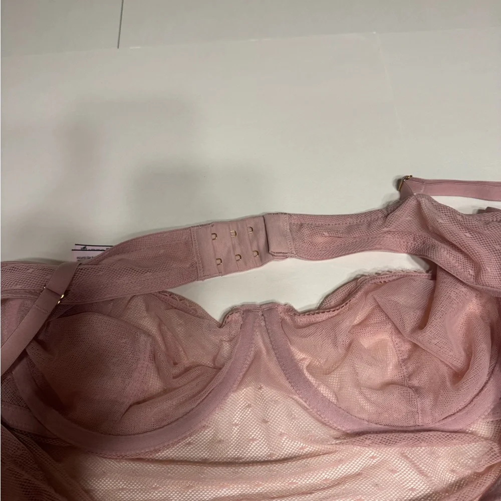 Victoria Secret Pink Lace Bodysuit. New. - Picture 3 of 6